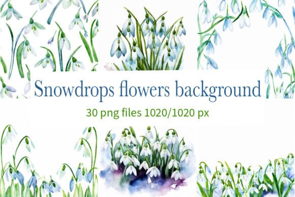 Download Snowdrops Flowers Background - Snowdrops Collection